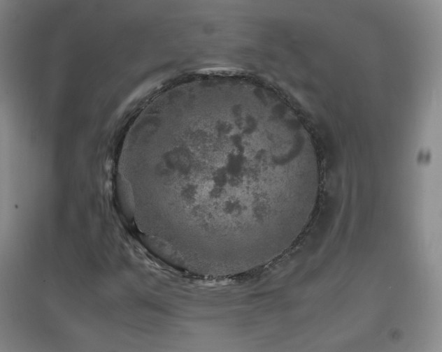 X0000096731351200802051430