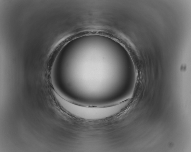 X0000096731352200802051430