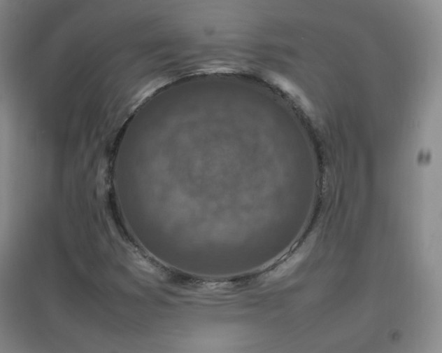 X0000096731353200802051430
