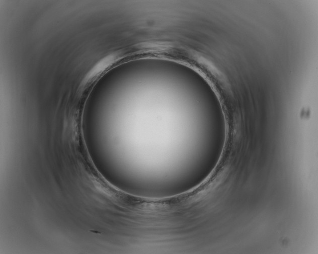 X0000096731354200802051430