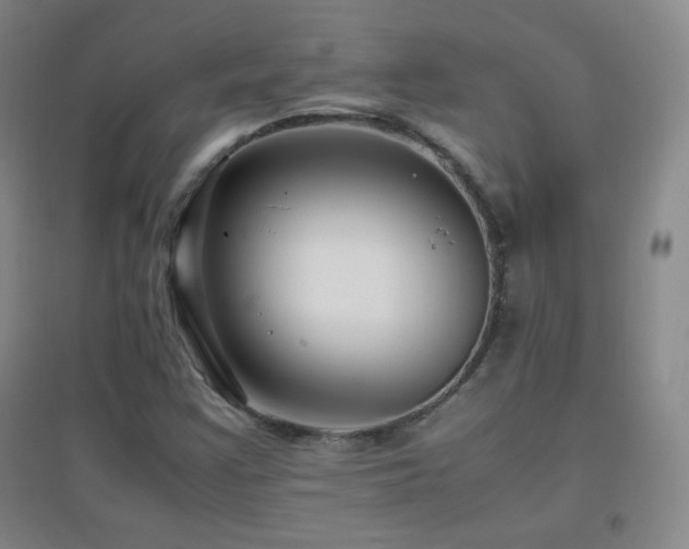 X0000096731355200802051430
