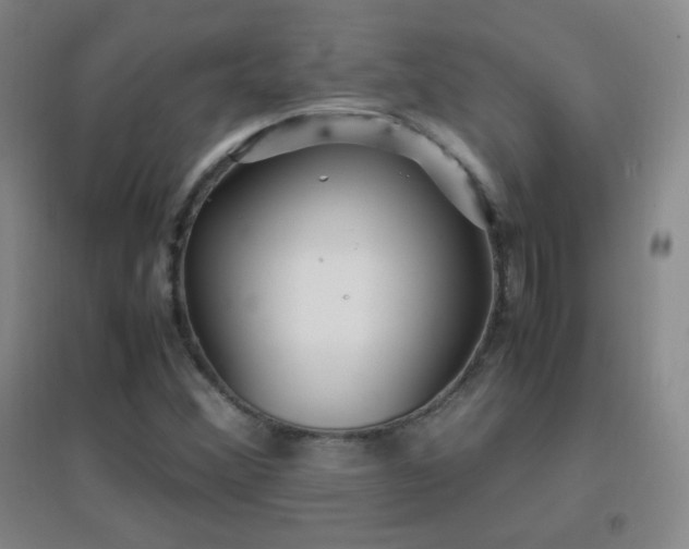 X0000096731356200802051430