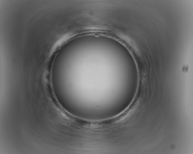 X0000096731357200802051430