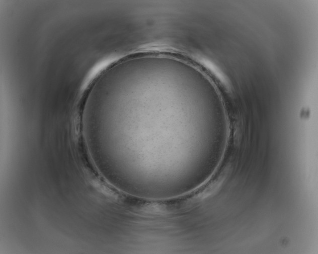 X0000096731358200802051430