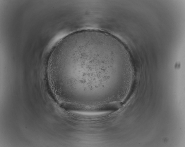 X0000096731359200802051430