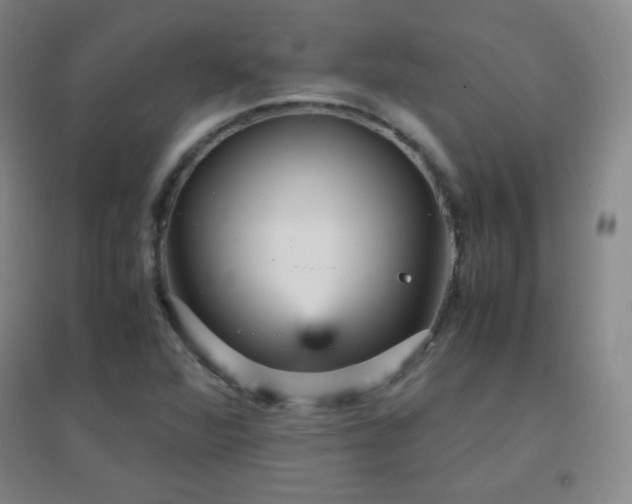 X0000096731360200802051430