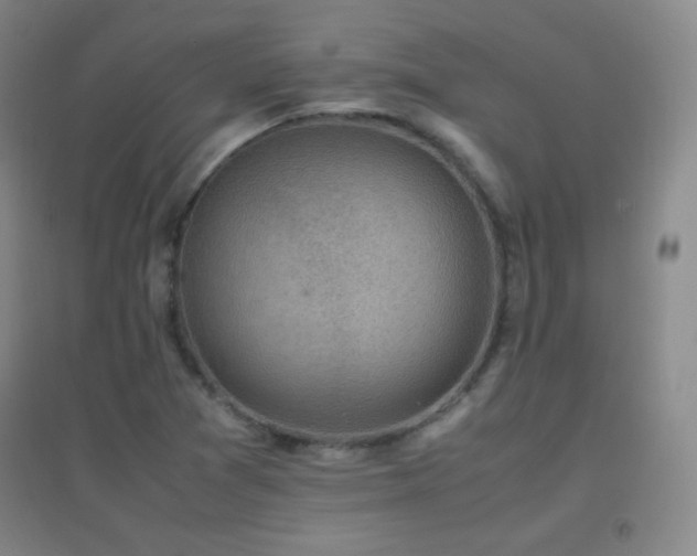 X0000096731361200802051430