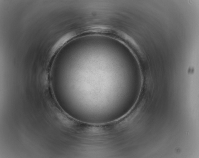 X0000096731362200802051430