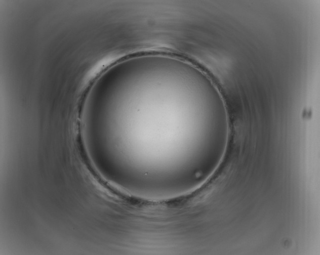X0000096731363200802051430