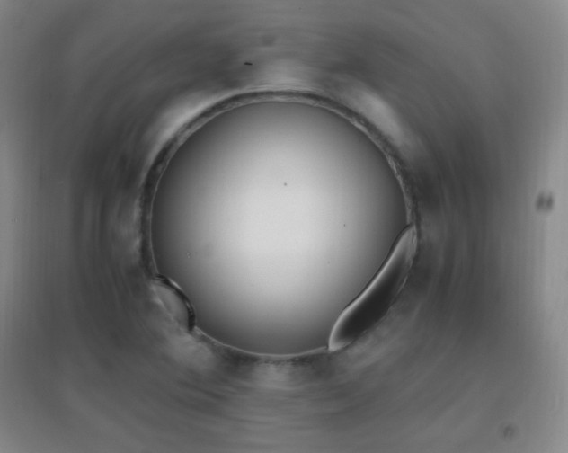 X0000096731364200802051429