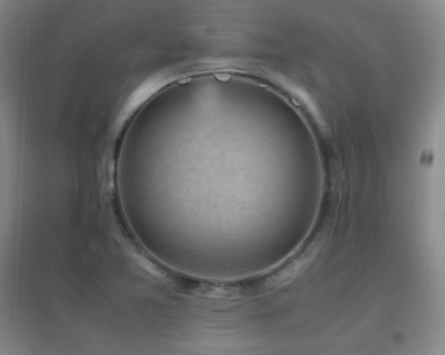 X0000096731365200802051429