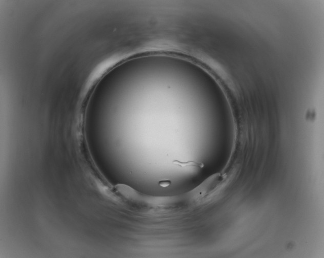 X0000096731366200802051429