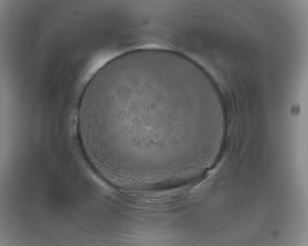 X0000096731367200802051429