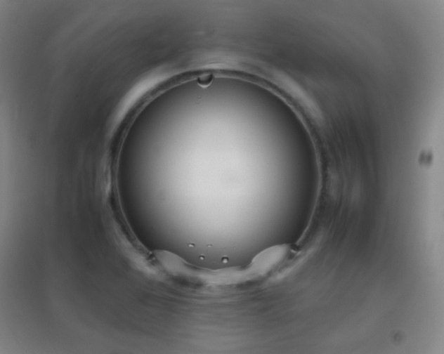 X0000096731368200802051429