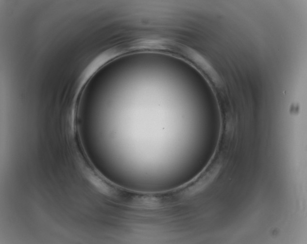 X0000096731370200802051429