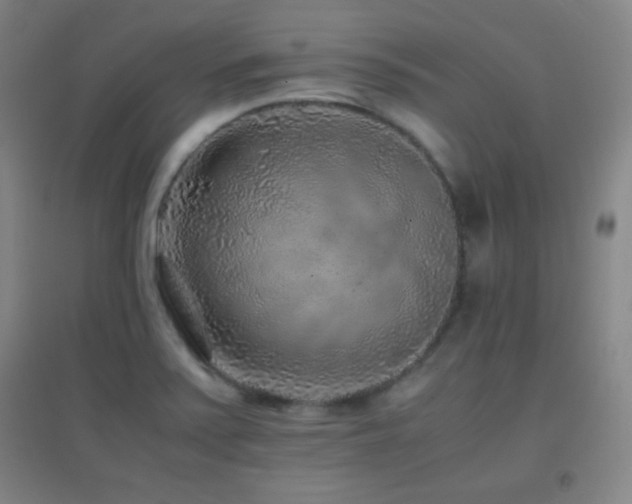 X0000096731371200802051429
