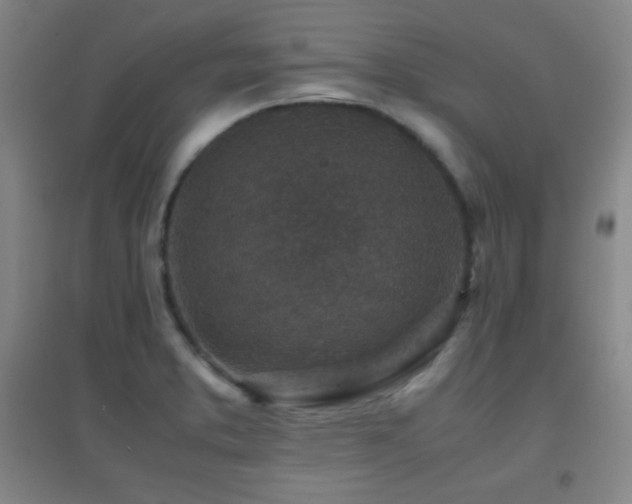 X0000096731373200802051429