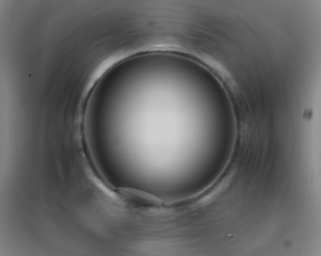 X0000096731374200802051429