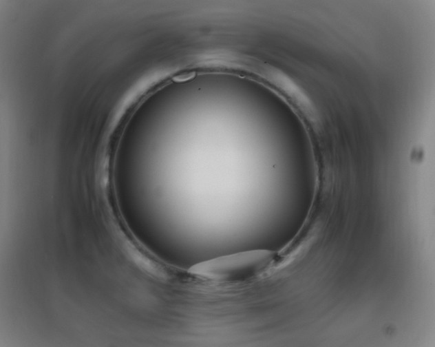 X0000096731376200802051429