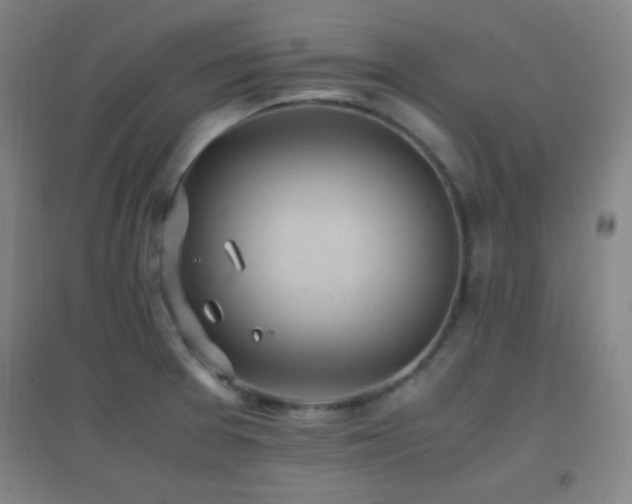 X0000096731377200802051429