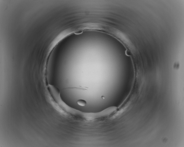 X0000096731378200802051429