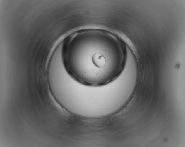 X0000096731380200802051429