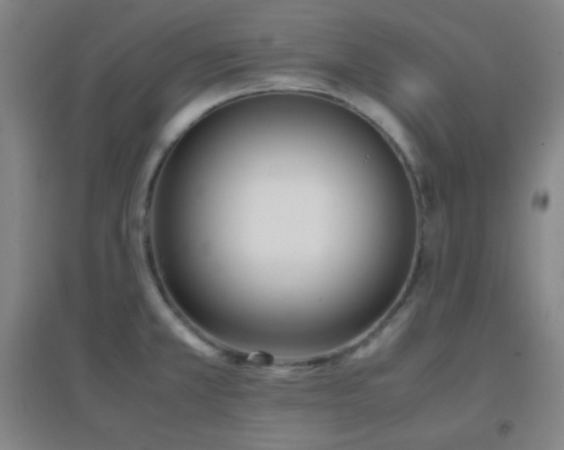 X0000096731381200802051429