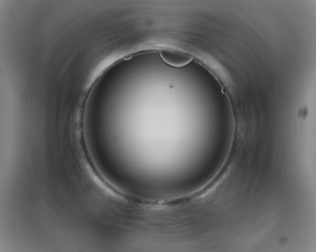 X0000096731382200802051429