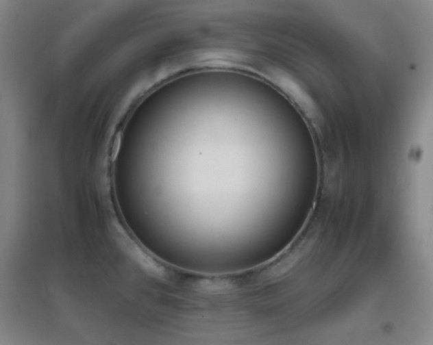 X0000096731384200802051429