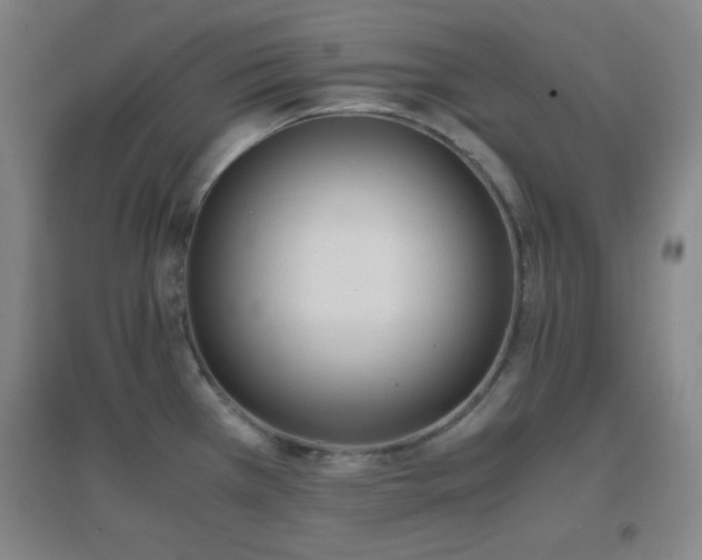 X0000096731385200802051429