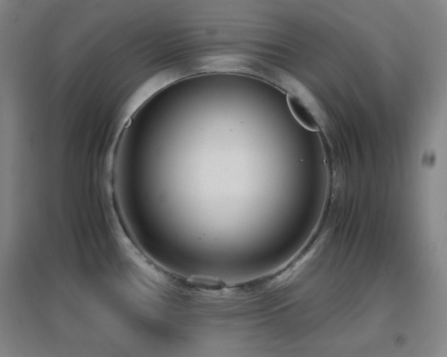 X0000096731386200802051429