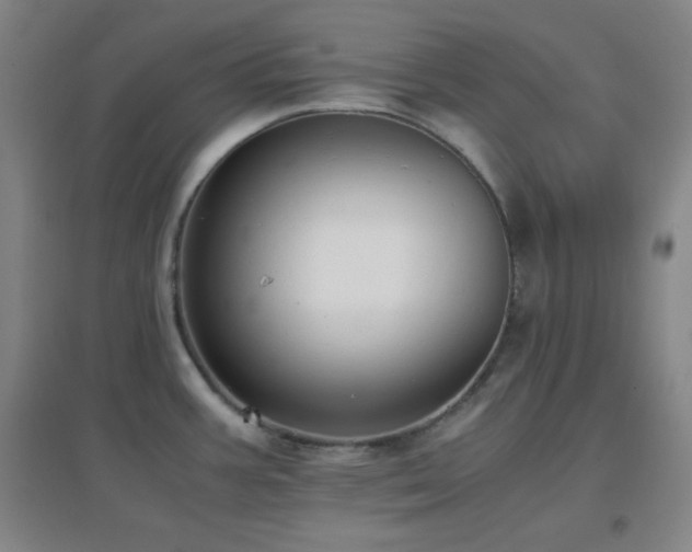 X0000096731387200802051429