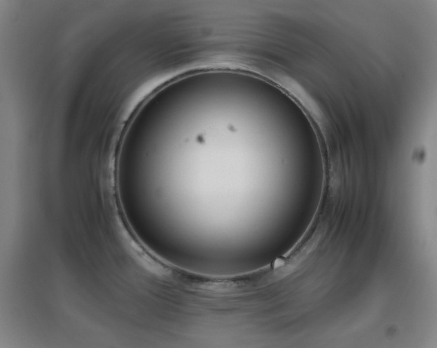 X0000096731388200802051429