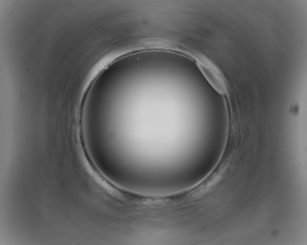 X0000096731389200802051429