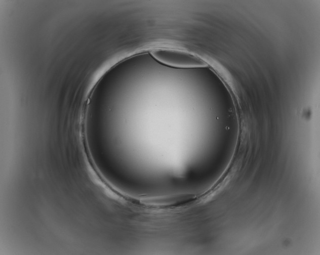 X0000096731390200802051429