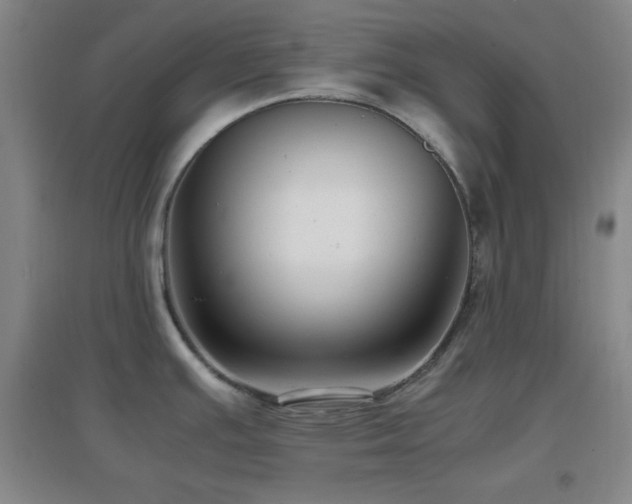 X0000096731391200802051429