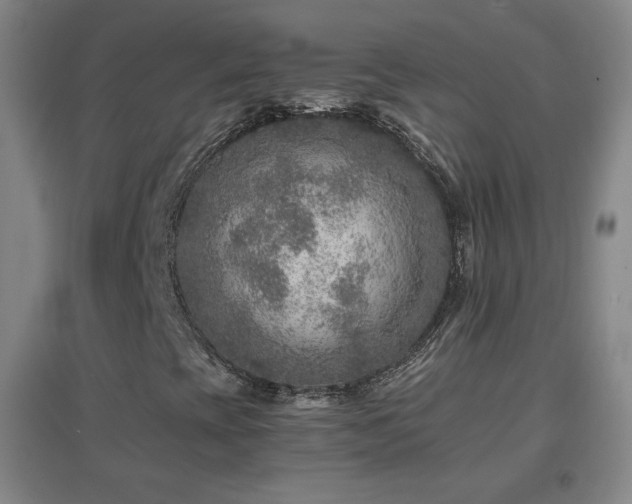 X0000096731393200802051428