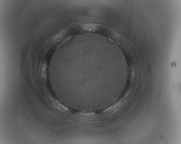 X0000096731394200802051428