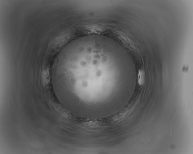 X0000096731395200802051428
