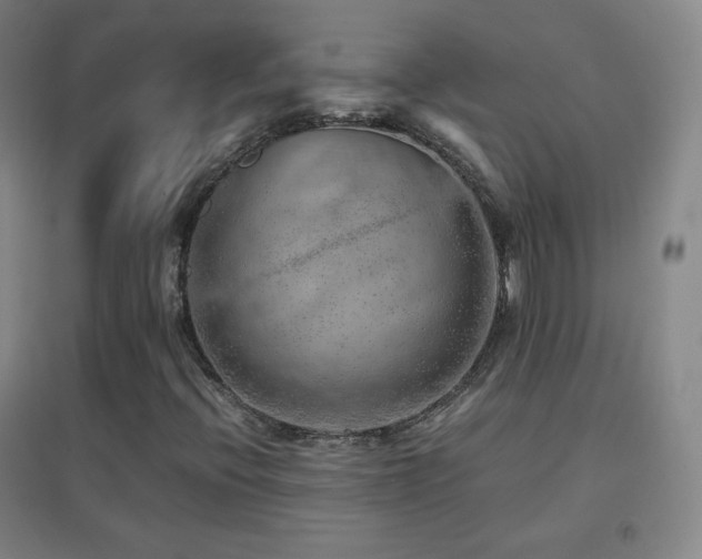 X0000096731396200802051428