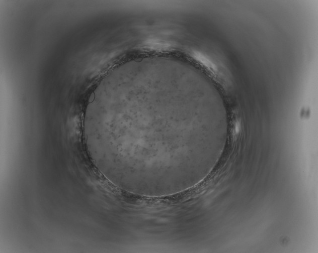 X0000096731397200802051428