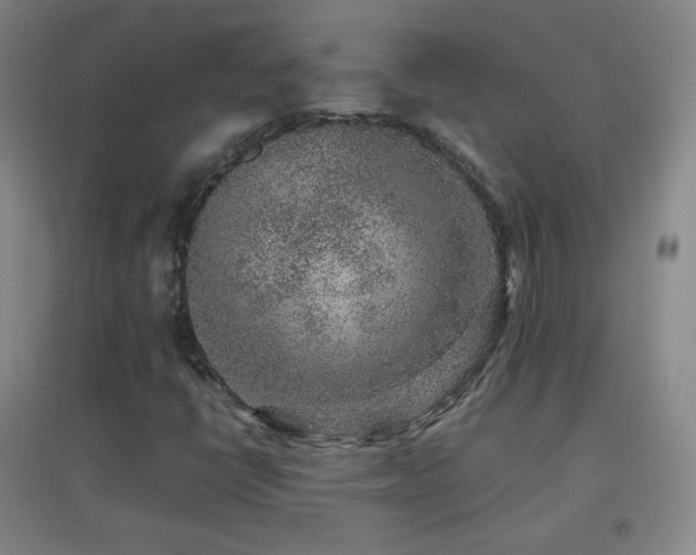 X0000096731398200802051428