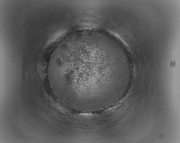 X0000096731399200802051428