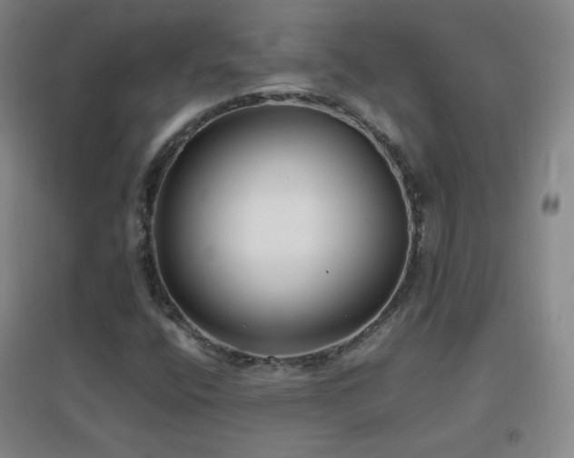 X0000096731400200802051428