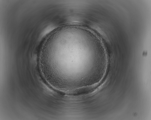 X0000096731402200802051428