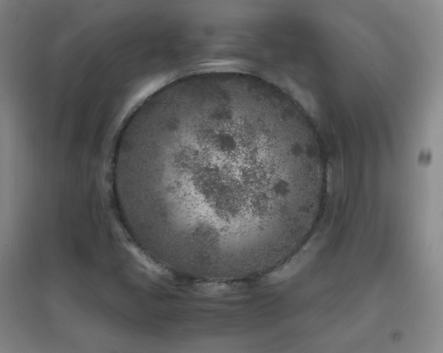 X0000096731405200802051428