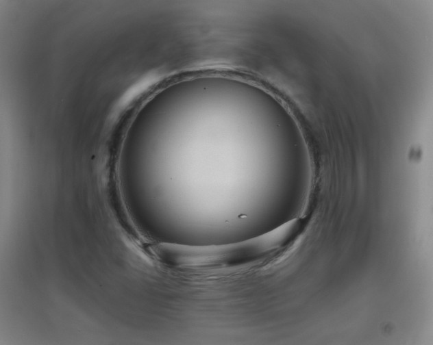 X0000096731406200802051428