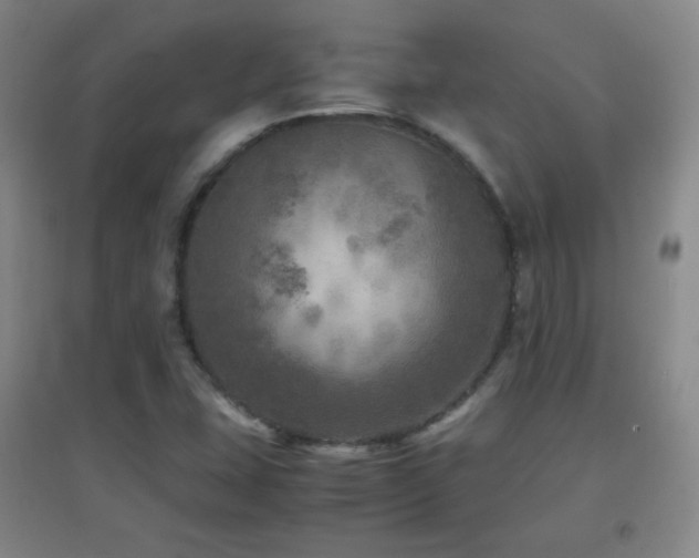 X0000096731407200802051428