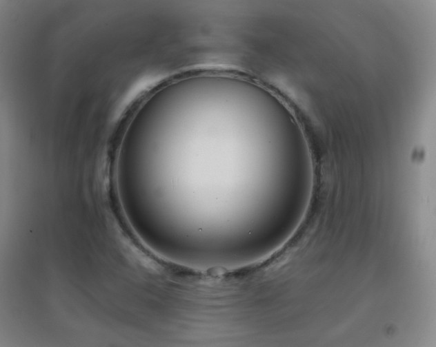 X0000096731408200802051428