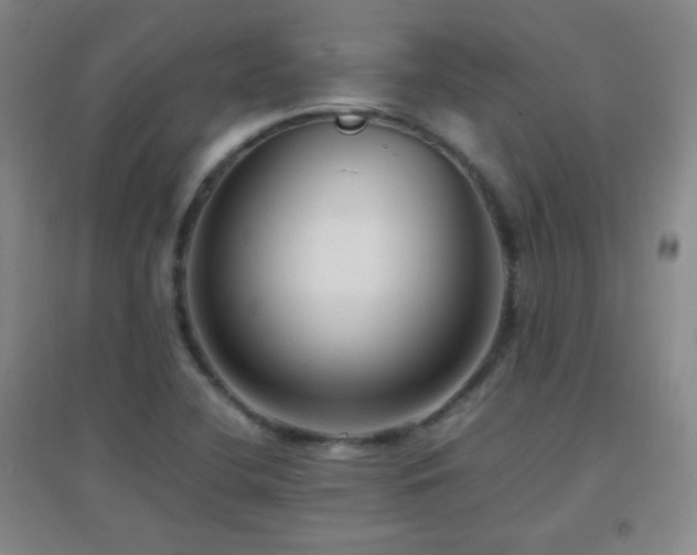 X0000096731412200802051428